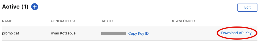 The new key in the Active list, with the Download API Key link