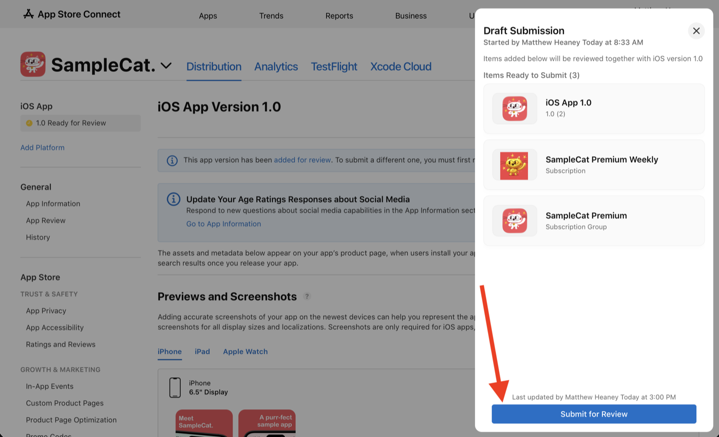 Draft Submission with the app version, the subscription and its group, and the Submit for Review button